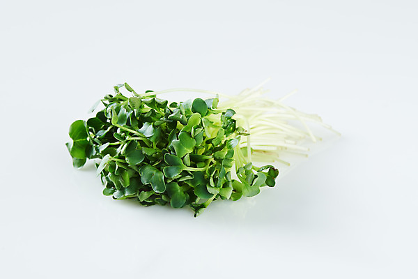 포토 JPG 스튜디오촬영 접시 채소 식재료 실내 사람없음 흰배경 무순 국내포토 식기 백그라운드 내부 흰색 새싹채소 파일형식