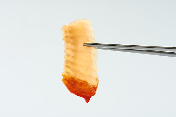 포토 JPG 스튜디오촬영 음식 젓가락 실내 근접촬영 사람없음 회 흰배경 초고추장 홍어 홍어회 국내포토 뷰포인트 백그라운드 수저 어류 내부 흰색 양념 파일형식