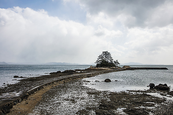 포토 JPG 바다 섬 여행 자연 한국 풍경 사람없음 야외 관광지 전라남도 국내여행 바닷길 장흥 국내포토 아시아 길 전라도 경상북도 생태계 파일형식