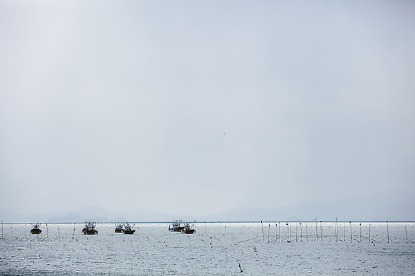 포토 JPG 주간 바다 섬 여행 자연 한국 풍경 사람없음 야외 관광지 전라남도 국내여행 선박 장흥 국내포토 자연요소 아시아 수상교통 전라도 경상북도 생태계 파일형식