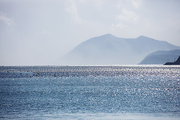 포토 JPG 주간 바다 섬 여행 자연 하늘 산 한국 풍경 사람없음 야외 관광지 전라남도 국내여행 바닷길 장흥 국내포토 자연요소 아시아 길 전라도 경상북도 생태계 파일형식