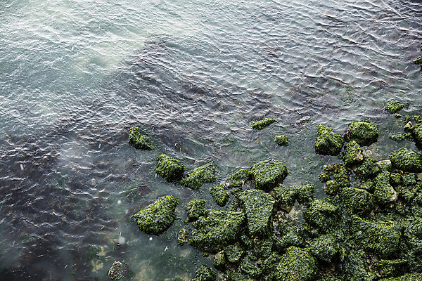 포토 JPG 주간 파도 바다 여행 자연 한국 풍경 사람없음 야외 관광지 전라남도 국내여행 장흥 국내포토 자연요소 아시아 전라도 경상북도 생태계 파일형식