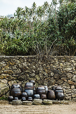 포토 JPG 주간 여행 자연 한국 풍경 사람없음 야외 관광지 담장 항아리 전라남도 대나무 국내여행 장흥 국내포토 자연요소 나무 아시아 도자기 전라도 경상북도 생태계 파일형식