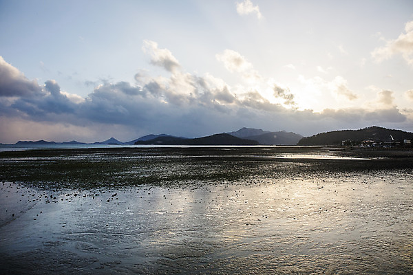 포토 JPG 주간 구름 바다 섬 여행 자연 하늘 산 한국 풍경 사람없음 야외 관광지 전라남도 갯벌 국내여행 바닷길 장흥 국내포토 자연요소 아시아 길 전라도 경상북도 생태계 파일형식