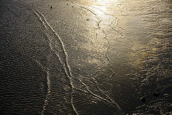 포토 JPG 주간 바다 섬 여행 자연 한국 풍경 사람없음 야외 관광지 전라남도 갯벌 국내여행 바닷길 장흥 국내포토 자연요소 아시아 길 전라도 경상북도 생태계 파일형식