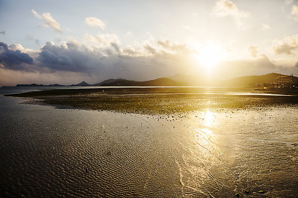 포토 JPG 주간 구름 바다 섬 여행 자연 한국 풍경 사람없음 야외 관광지 일몰 전라남도 갯벌 국내여행 바닷길 장흥 국내포토 자연요소 아시아 길 노을 전라도 경상북도 생태계 파일형식