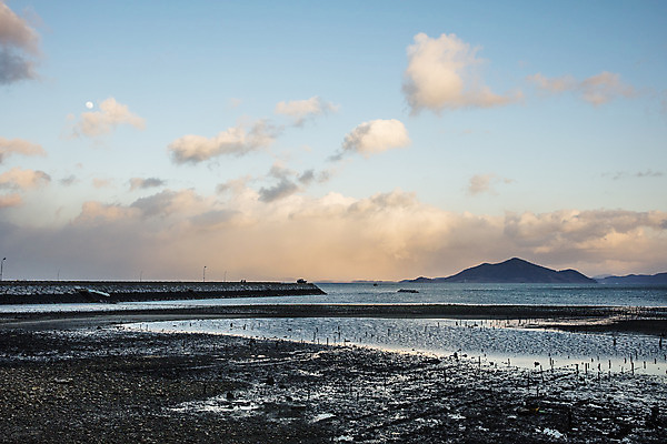 포토 JPG 주간 바다 섬 여행 자연 한국 풍경 사람없음 야외 관광지 전라남도 갯벌 국내여행 바닷길 장흥 국내포토 자연요소 아시아 길 전라도 경상북도 생태계 파일형식