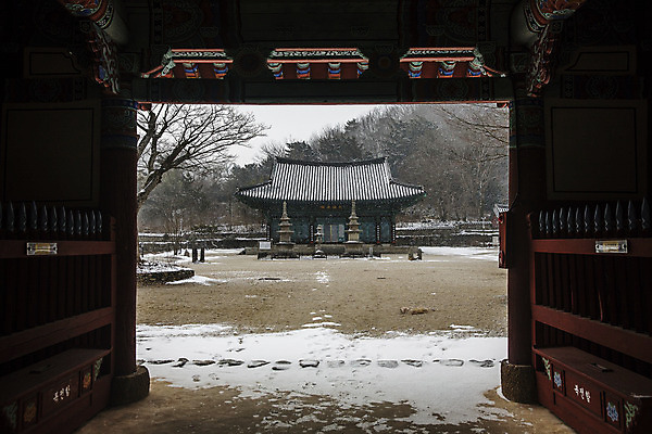 포토 JPG 여행 겨울 자연 한국 풍경 사람없음 야외 관광지 눈 사찰 전라남도 국내여행 보림사 장흥 국내포토 자연요소 계절 아시아 종교건축 날씨 전라도 경상북도 생태계 파일형식