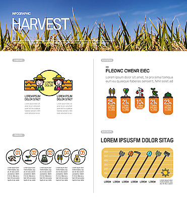 여자 남자 과일 일러스트 그래프 두명 농작물 농사 인포그래픽 수확 벼 가을 농부 흰배경 보리 귀농 가을배경 국내일러스트 AI파일 직업 계절 백그라운드 농업 곡류 사람 흰색 파일형식 벡터 가을_계절