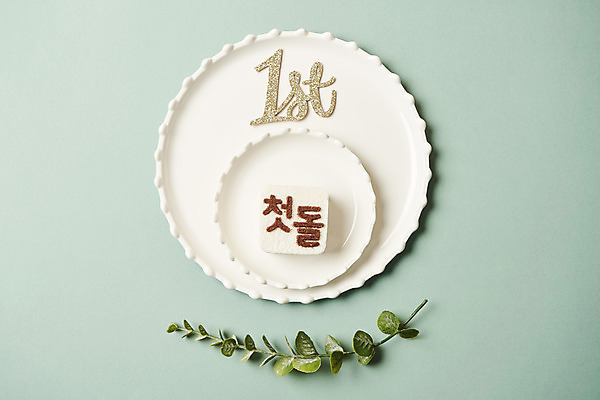 포토 JPG 스튜디오촬영 기념일 잎 실내 이벤트 사람없음 하이앵글 축하 오브젝트 돌잡이 백설기 첫돌 플랫레이 민트색배경 국내포토 식물 뷰포인트 백그라운드 컨셉 떡 내부 플랫 돌잔치 민트색 파일형식