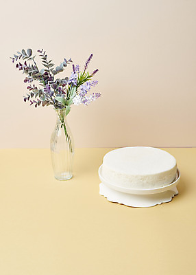 포토 JPG 스튜디오촬영 기념일 꽃 실내 사람없음 케이크 꽃병 축하 오브젝트 백설기 백일 첫돌 분홍색배경 연노랑색 국내포토 식물 분홍색 백그라운드 컨셉 디저트 떡 이벤트 내부 노란색 파일형식