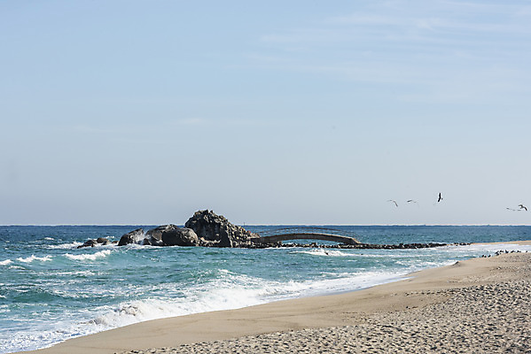 포토 JPG 주간 모래 파도 바다 여행 겨울 자연 갈매기 조류 하늘 한국 풍경 사람없음 야외 파란색 관광지 계단 바위 해수욕장 강원도 바위섬 강릉 국내여행 사천해변 국내포토 자연요소 동물 계절 아시아 컬러 섬 해변 돌_바위 생태계 파일형식