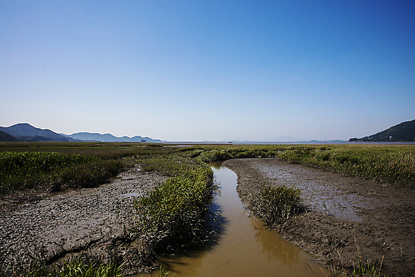 포토 JPG 주간 공원 여행 자연 한국 풍경 사람없음 야외 관광지 습지 전라남도 갯벌 국내여행 순천 순천만 국내포토 자연요소 공공시설 아시아 전라도 생태계 파일형식