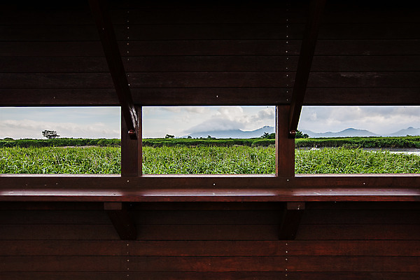 포토 JPG 주간 여행 자연 한국 풍경 사람없음 야외 관광지 전라남도 국내여행 순천 순천만 국내포토 자연요소 아시아 습지 전라도 생태계 파일형식