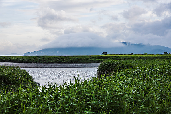 포토 JPG 주간 구름 여행 밭 자연 하늘 한국 풍경 사람없음 야외 관광지 습지 전라남도 국내여행 순천 순천만 국내포토 자연요소 아시아 농업 전라도 생태계 파일형식