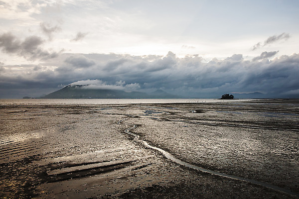 포토 JPG 주간 구름 여행 자연 하늘 한국 풍경 사람없음 야외 관광지 습지 전라남도 갯벌 국내여행 순천 순천만 국내포토 자연요소 아시아 전라도 생태계 파일형식
