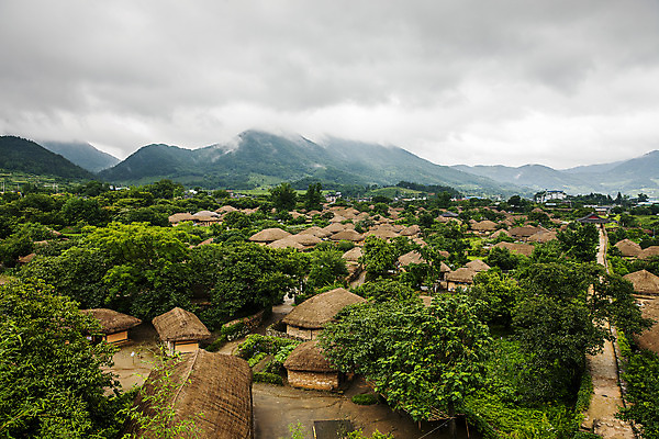 포토 JPG 주간 나무 여행 자연 한국 초가집 풍경 사람없음 야외 관광지 전라남도 국내여행 순천 순천만 국내포토 자연요소 식물 아시아 한옥 습지 전라도 생태계 파일형식