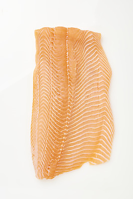 포토 JPG 스튜디오촬영 음식 실내 어류 사람없음 하이앵글 회 흰배경 기호식품 연어 연어회 플랫레이 국내포토 뷰포인트 백그라운드 내부 수중동물 생선회 흰색 플랫 파일형식