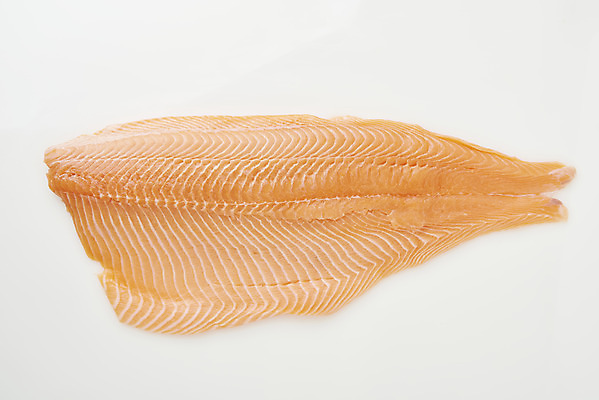 포토 JPG 스튜디오촬영 음식 실내 어류 사람없음 하이앵글 회 흰배경 기호식품 연어 연어회 플랫레이 국내포토 뷰포인트 백그라운드 내부 수중동물 생선회 흰색 플랫 파일형식