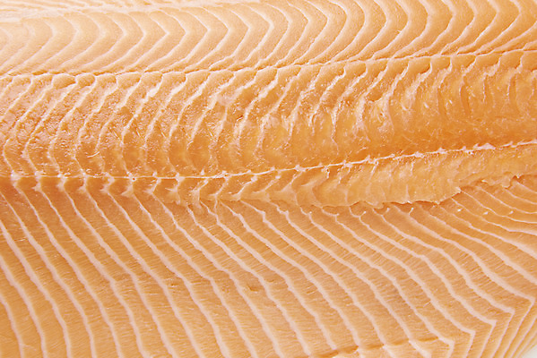 포토 JPG 스튜디오촬영 음식 실내 어류 근접촬영 사람없음 하이앵글 회 기호식품 연어 연어회 플랫레이 국내포토 뷰포인트 내부 수중동물 생선회 플랫 파일형식