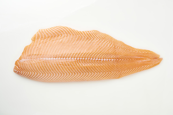 포토 JPG 스튜디오촬영 음식 실내 어류 사람없음 하이앵글 회 흰배경 기호식품 연어 연어회 플랫레이 국내포토 뷰포인트 백그라운드 내부 수중동물 생선회 흰색 플랫 파일형식