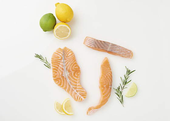 포토 JPG 스튜디오촬영 음식 실내 어류 사람없음 하이앵글 회 레몬 흰배경 기호식품 연어 로즈메리 연어회 플랫레이 국내포토 뷰포인트 백그라운드 과일 내부 수중동물 생선회 흰색 플랫 허브 파일형식