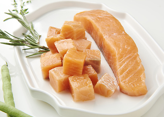 포토 JPG 스튜디오촬영 접시 음식 실내 어류 사람없음 회 레몬 흰배경 아스파라거스 기호식품 연어 로즈메리 연어회 국내포토 식기 백그라운드 채소 과일 내부 수중동물 생선회 흰색 허브 파일형식