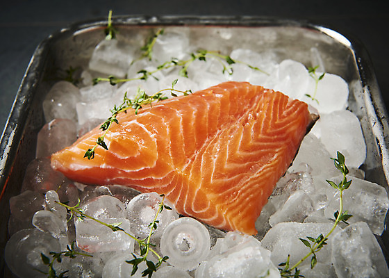 포토 JPG 스튜디오촬영 그릇 음식 검은배경 실내 어류 사람없음 얼음 회 기호식품 연어 로즈메리 연어회 국내포토 자연요소 식기 백그라운드 내부 검은색 수중동물 생선회 허브 파일형식