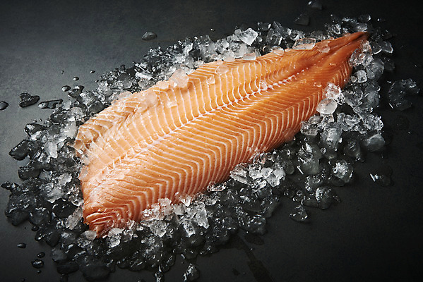 포토 JPG 스튜디오촬영 음식 검은배경 실내 어류 사람없음 얼음 회 기호식품 연어 연어회 국내포토 자연요소 백그라운드 내부 검은색 수중동물 생선회 파일형식