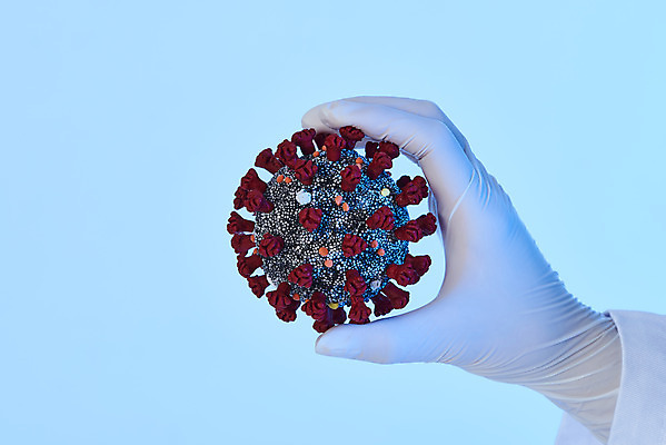 포토 JPG 스튜디오촬영 손 여자 과학 장갑 의학 실내 건강 한명 들기 사람 20대 성인 신체부위 모형 한국인 바이러스 질병 파란배경 백신 전염병 성인여자한명만 코로나바이러스 델타변이바이러스 국내포토 1 잡화 백그라운드 모션 동양인 청년 내부 파란색 여자한명만 성인여자만 파일형식