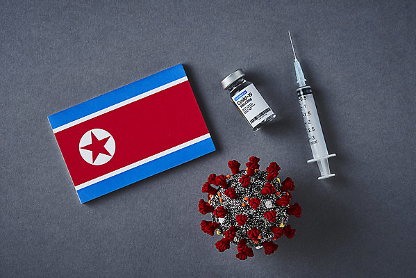 포토 JPG 스튜디오촬영 과학 의학 회색배경 실내 건강 주사기 사람없음 하이앵글 약 바이러스 질병 백신 북한 북한국기 앰플 전염병 코로나바이러스 델타변이바이러스 국내포토 아시아 뷰포인트 백그라운드 의료기기 내부 회색 국기 파일형식