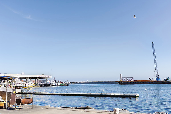 포토 JPG 주간 바다 여행 겨울 갈매기 조류 하늘 풍경 사람없음 야외 파란색 항구 중장비 강원도 강릉 주문진 선박 국내포토 자연요소 동물 계절 컬러 수상교통 교통시설 한국 산업장비 해수욕장 파일형식