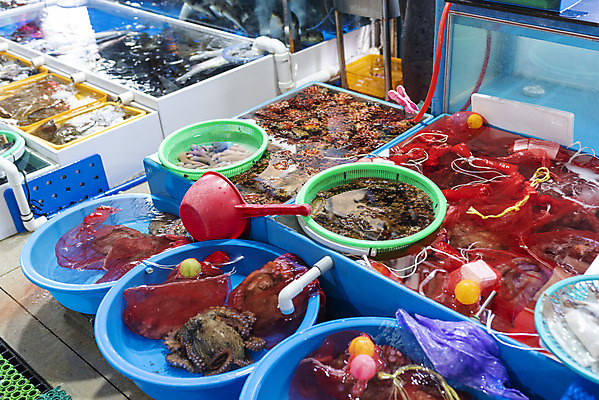 포토 JPG 바다 여행 겨울 사람없음 야외 항구 해산물 강원도 강릉 어시장 주문진 국내포토 계절 교통시설 한국 시장 해수욕장 파일형식