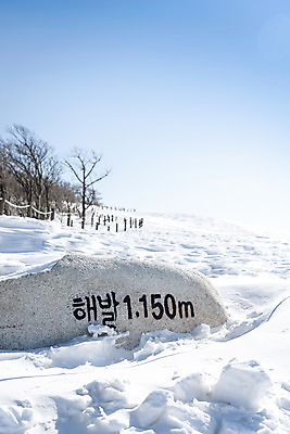 포토 JPG 주간 계절 겨울 산 안내 알림판 사람없음 야외 설원 추위 흰색 눈 차가움 시원함 비석 강원도 겨울산 대관령 고지 눈내림 겨울풍경 국내포토 자연요소 컬러 날씨 한국 눈_날씨 풍경 파일형식