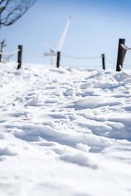포토 JPG 주간 계절 겨울 산 안전 사람없음 야외 아웃포커스 설원 등산 추위 흰색 눈 차가움 시원함 강원도 겨울산 대관령 등산로 눈내림 겨울풍경 국내포토 자연요소 컬러 날씨 한국 눈_날씨 촬영기법 풍경 트래킹 파일형식