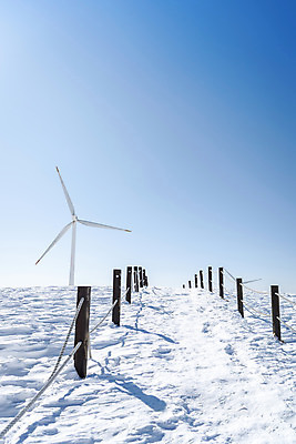 포토 JPG 주간 계절 겨울 산 안전 사람없음 야외 설원 등산 추위 흰색 눈 풍력에너지 차가움 시원함 강원도 겨울산 대관령 등산로 눈내림 겨울풍경 국내포토 자연요소 컬러 날씨 한국 눈_날씨 풍경 트래킹 그린에너지 파일형식