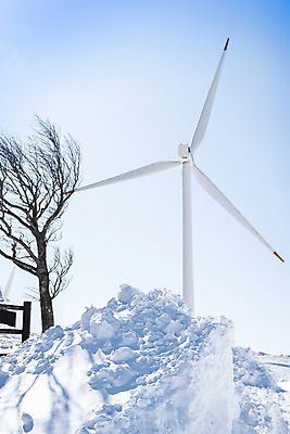 포토 JPG 주간 나무 계절 겨울 산 사람없음 야외 설원 에너지 추위 흰색 눈 풍력에너지 차가움 시원함 강원도 겨울산 대관령 눈내림 겨울풍경 국내포토 자연요소 식물 컬러 날씨 한국 눈_날씨 풍경 그린에너지 파일형식