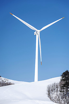 포토 JPG 주간 계절 겨울 산 사람없음 야외 설원 에너지 추위 흰색 눈 풍력에너지 차가움 시원함 강원도 겨울산 대관령 눈내림 겨울풍경 국내포토 자연요소 컬러 날씨 한국 눈_날씨 풍경 그린에너지 파일형식