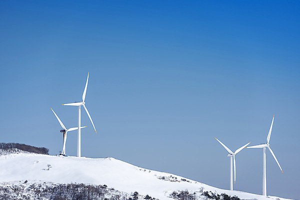 포토 JPG 주간 계절 겨울 산 사람없음 야외 설원 에너지 추위 흰색 눈 풍력에너지 차가움 시원함 강원도 겨울산 대관령 눈내림 겨울풍경 국내포토 자연요소 컬러 날씨 한국 눈_날씨 풍경 그린에너지 파일형식