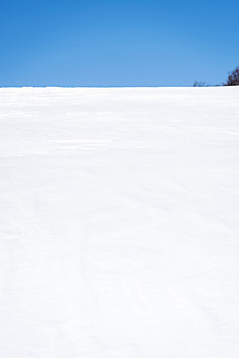 포토 JPG 주간 계절 겨울 산 사람없음 야외 설원 추위 흰색 눈 차가움 시원함 언덕 강원도 겨울산 대관령 눈내림 겨울풍경 국내포토 자연요소 컬러 날씨 한국 눈_날씨 풍경 파일형식