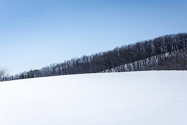 포토 JPG 주간 계절 겨울 산 사람없음 야외 설원 추위 흰색 눈 차가움 시원함 언덕 강원도 겨울산 대관령 눈내림 겨울풍경 국내포토 자연요소 컬러 날씨 한국 눈_날씨 풍경 파일형식