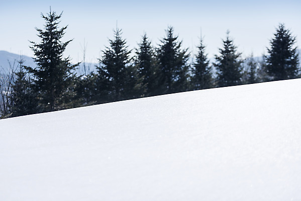 포토 JPG 주간 나무 계절 겨울 산 사람없음 야외 아웃포커스 설원 추위 흰색 눈 차가움 시원함 언덕 강원도 겨울산 대관령 눈내림 겨울풍경 국내포토 자연요소 식물 컬러 날씨 한국 눈_날씨 촬영기법 풍경 파일형식