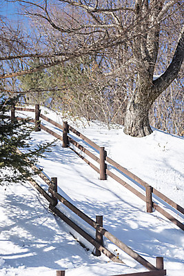 포토 JPG 주간 계절 겨울 산 안전 사람없음 야외 설원 등산 추위 흰색 눈 차가움 시원함 강원도 겨울산 대관령 등산로 눈내림 겨울풍경 국내포토 자연요소 컬러 날씨 한국 눈_날씨 풍경 트래킹 파일형식