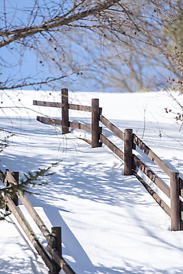 포토 JPG 주간 계절 겨울 산 안전 사람없음 야외 설원 등산 추위 흰색 눈 차가움 시원함 강원도 겨울산 대관령 등산로 눈내림 겨울풍경 국내포토 자연요소 컬러 날씨 한국 눈_날씨 풍경 트래킹 파일형식