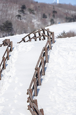 포토 JPG 주간 계절 겨울 산 안전 사람없음 야외 설원 등산 추위 흰색 눈 차가움 시원함 강원도 겨울산 대관령 등산로 눈내림 겨울풍경 국내포토 자연요소 컬러 날씨 한국 눈_날씨 풍경 트래킹 파일형식