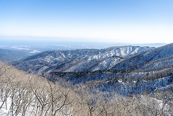 포토 JPG 주간 계절 겨울 산 사람없음 야외 추위 눈 차가움 시원함 강원도 겨울산 대관령 눈내림 겨울풍경 국내포토 자연요소 날씨 한국 눈_날씨 풍경 파일형식