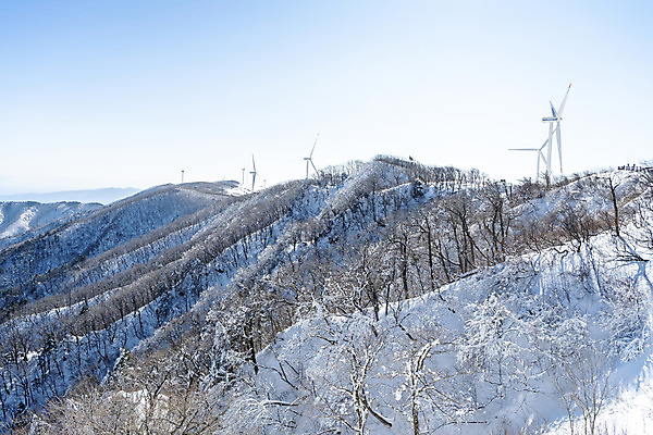 포토 JPG 주간 계절 겨울 산 사람없음 야외 추위 눈 차가움 시원함 강원도 겨울산 대관령 눈내림 겨울풍경 국내포토 자연요소 날씨 한국 눈_날씨 풍경 파일형식