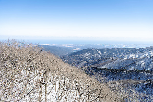 포토 JPG 주간 계절 겨울 산 사람없음 야외 추위 눈 차가움 시원함 강원도 겨울산 대관령 눈내림 겨울풍경 국내포토 자연요소 날씨 한국 눈_날씨 풍경 파일형식
