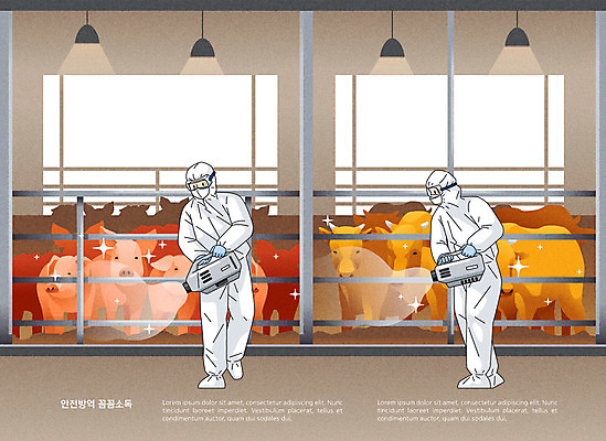 전신 남자 일러스트 들기 사람 두명 농가 갈색 가축 돼지 소 바이러스 뿌리기 사회이슈 축사 광우병 방역 소독 전염병 남자만 아프리카돼지열병 가축전염병 코로나바이러스 방역복 델타변이바이러스 국내일러스트 AI파일 동물 건축물 옷 컬러 컨셉 포유류 모션 농장 축산업 질병 파일형식 벡터 돼지전염병