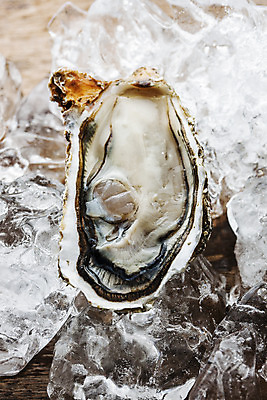 포토 JPG 어패류 근접촬영 사람없음 야외 얼음 굴 경상남도 특산물 통영 남해 통영굴 국내포토 자연요소 동물 바다 뷰포인트 경상도 특산품 파일형식